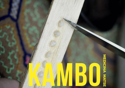 TERAPIA DE KAMBO